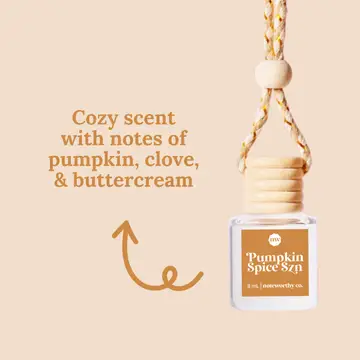 Fall Car Diffusers
